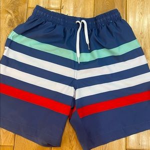 Chubbies Swim Shorts 5” Striped Size M